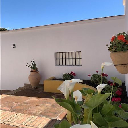 Encantador Apartamento-Céntrico-con Amplio Jardín Torremolinos Esterno foto