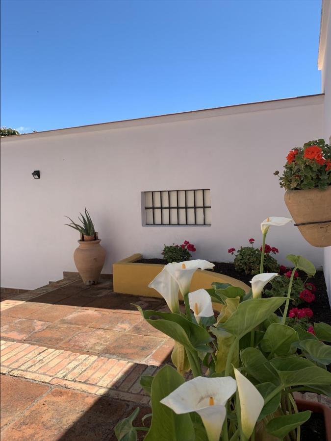 Encantador Apartamento-Céntrico-con Amplio Jardín Torremolinos Esterno foto