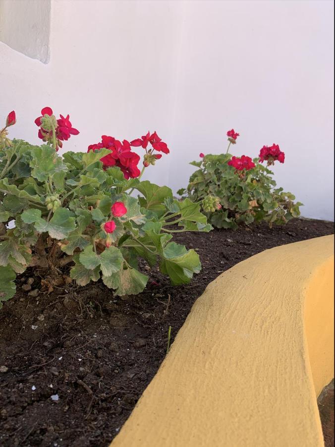 Encantador Apartamento-Céntrico-con Amplio Jardín Torremolinos Esterno foto
